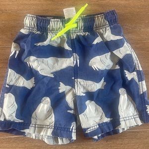 Mini boden swim